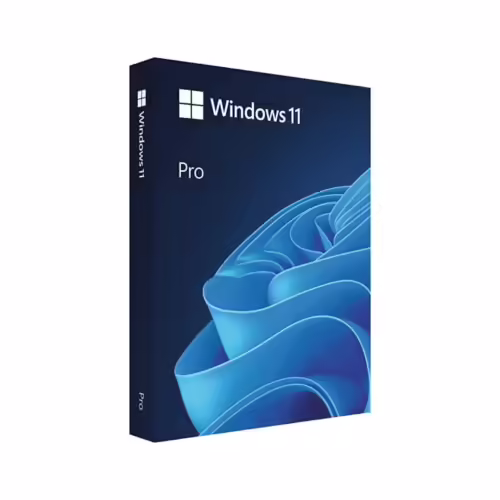 Windows 11 Pro