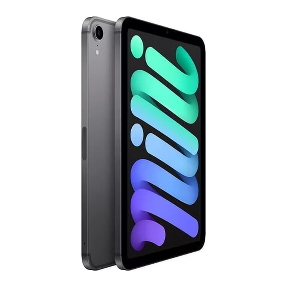 iPad mini 6 (2021) Wi-Fi + Cellular 64GB - Gris Espacial (Space